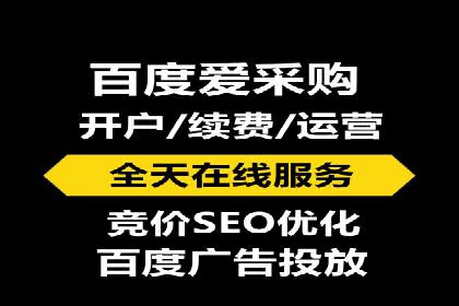sem百度竞价实战：成功案例解析